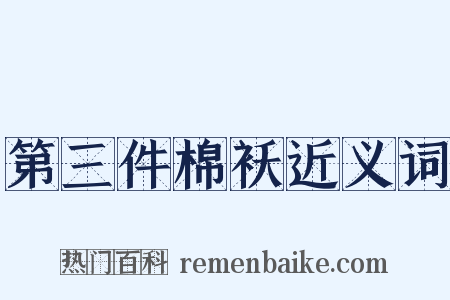 第三件棉袄近义词是什么意思的图片